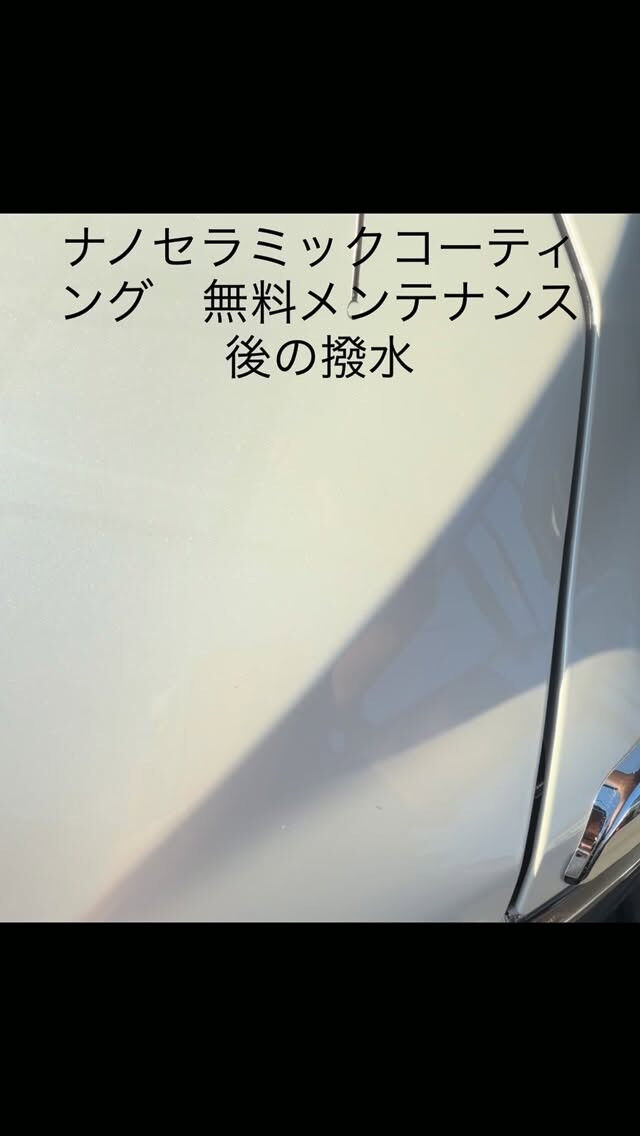 regra_rgr のREGRA（レグラ）です